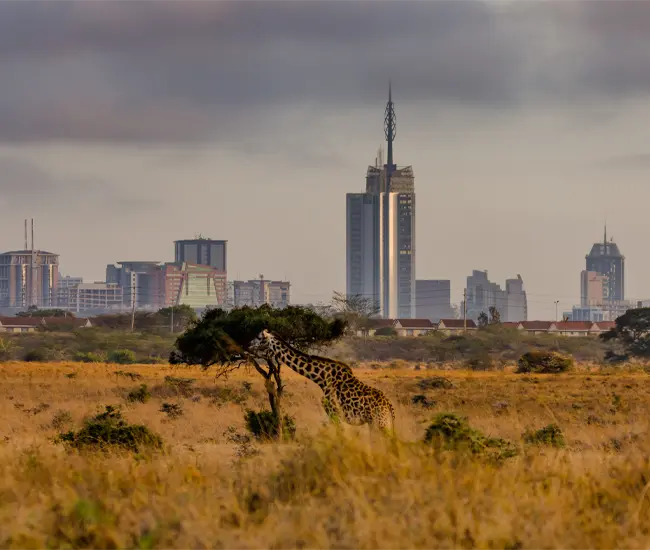 pan african hub, lbh group, kenya, guinea, namibia, tanzania