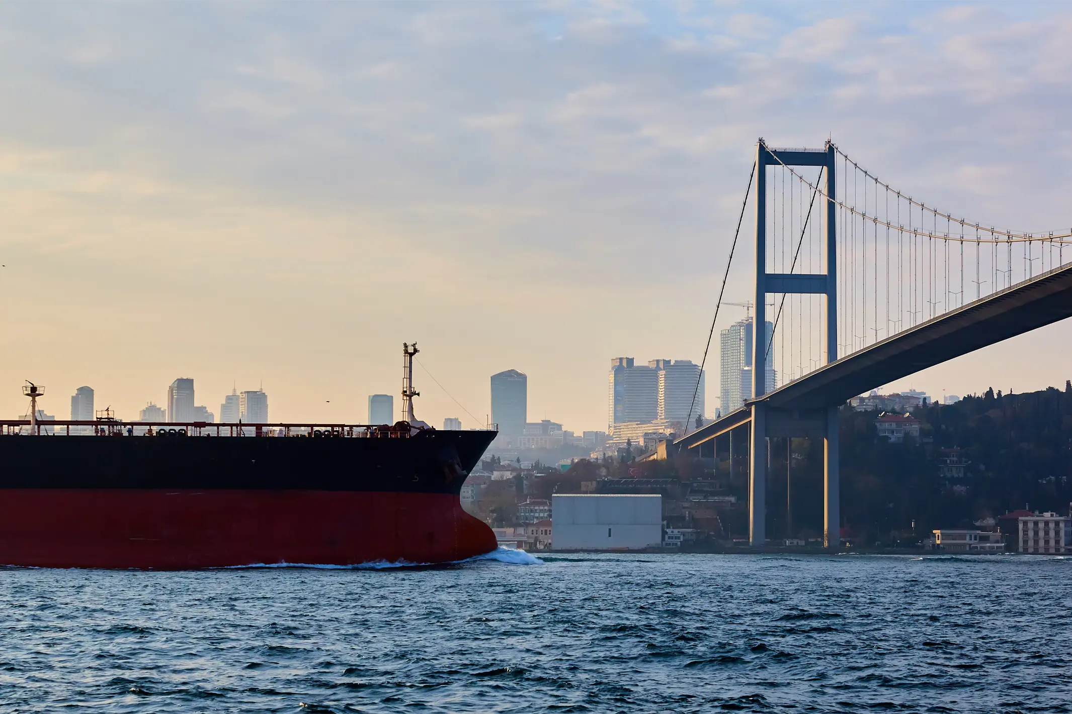 lbh turkiye, lbh turkey, dardanelles, istanbul, bosphorus strait, husbandry, lbh group