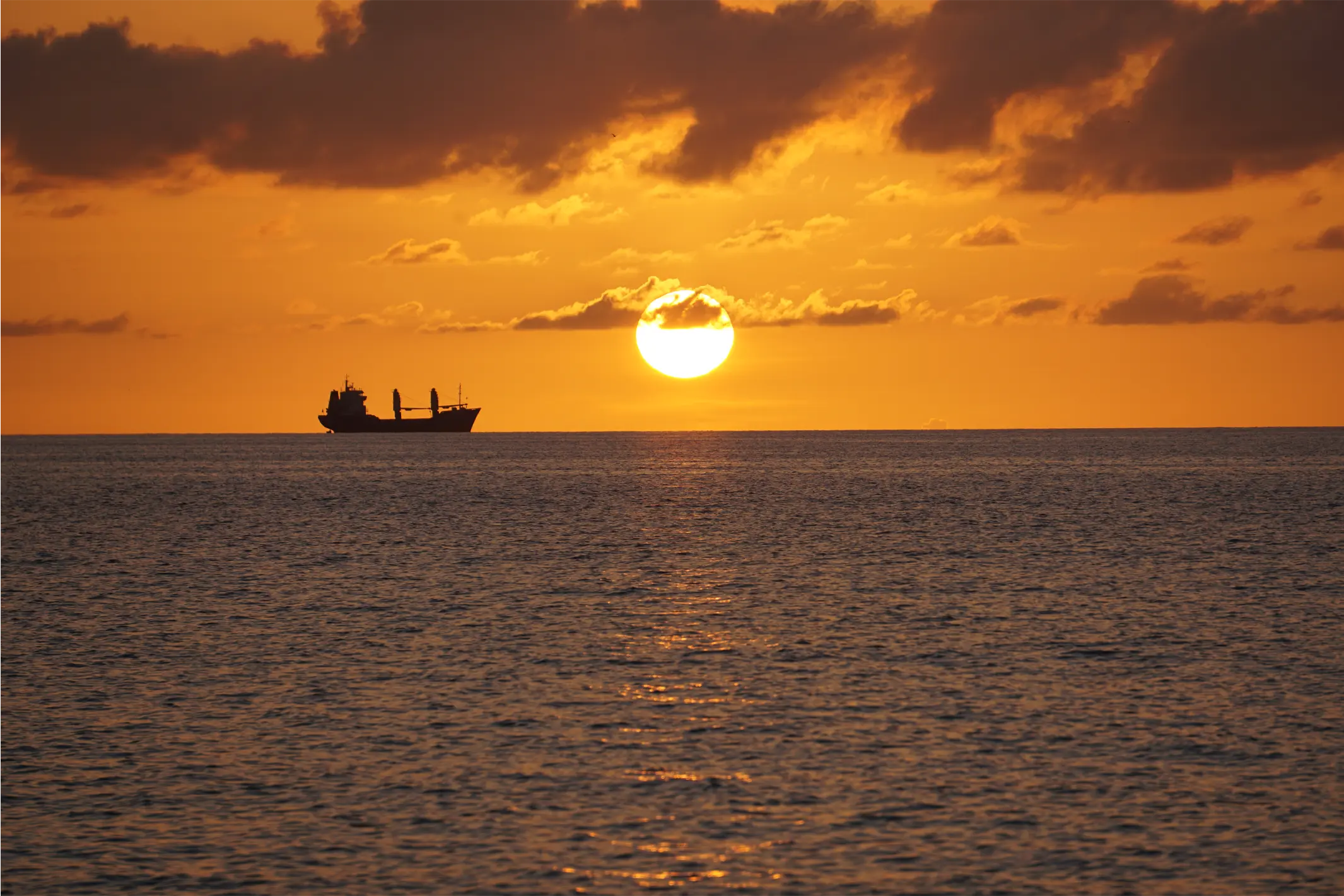 lbh chile, easter island, torres del paine, magellan strait, husbandry, cargo coordination